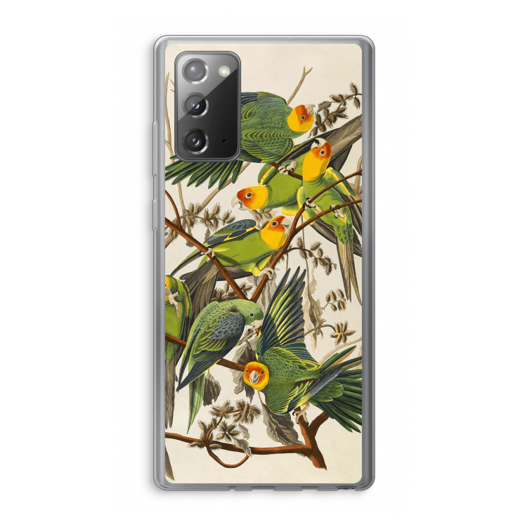 Carolinaparkiet: Samsung Galaxy Note 20 / Note 20 5G Transparant Hoesje
