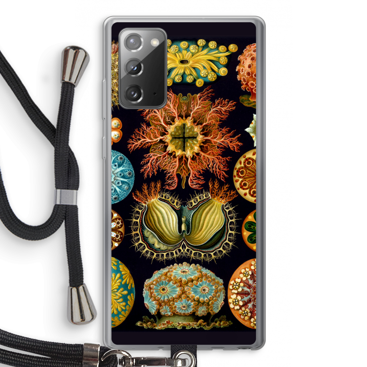 Haeckel Ascidiae: Samsung Galaxy Note 20 / Note 20 5G Transparant Hoesje met koord