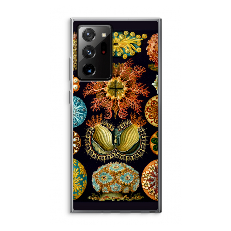 Haeckel Ascidiae: Samsung Galaxy Note 20 Ultra / Note 20 Ultra 5G Transparant Hoesje