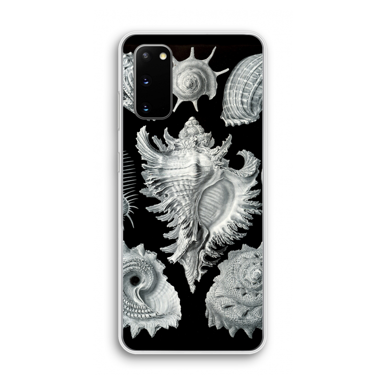 Haeckel Prosobranchia: Samsung Galaxy S20 Transparant Hoesje