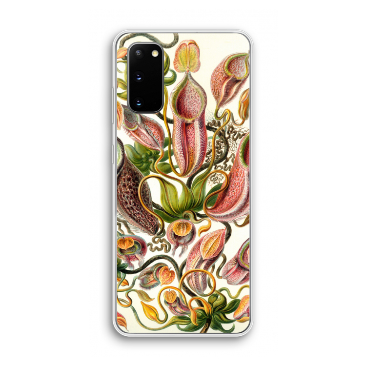 Haeckel Nepenthaceae: Samsung Galaxy S20 Transparant Hoesje