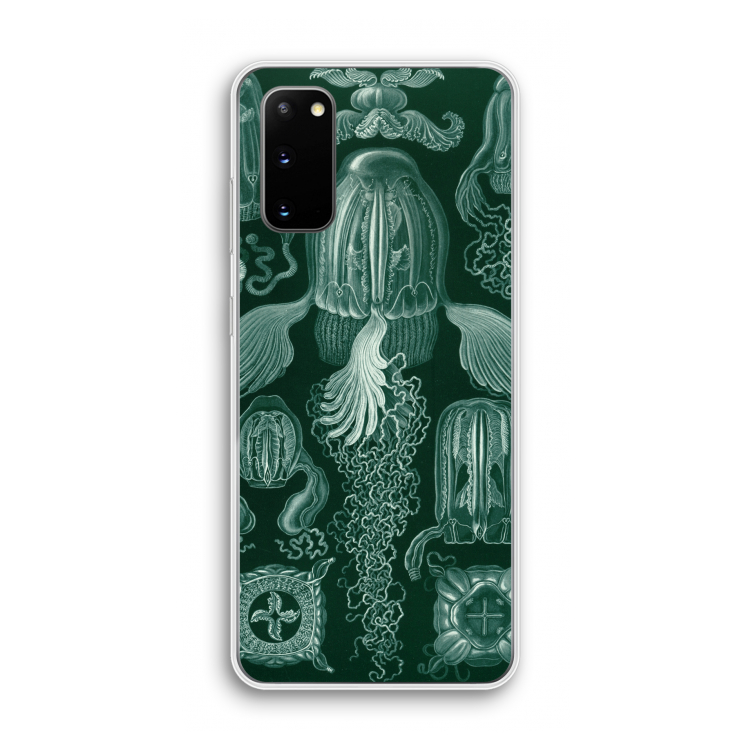 Haeckel Cubomedusae: Samsung Galaxy S20 Transparant Hoesje