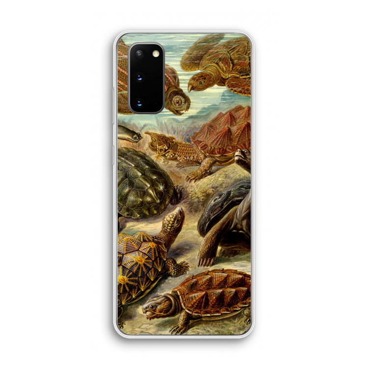 Haeckel Chelonia: Samsung Galaxy S20 Transparant Hoesje