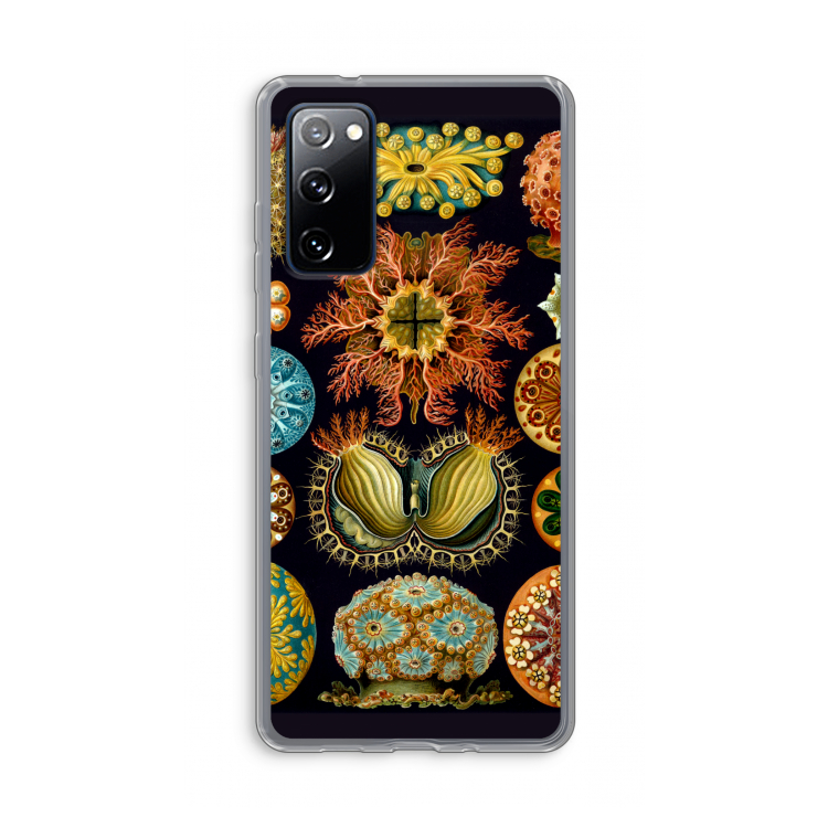 Haeckel Ascidiae: Samsung Galaxy S20 FE / S20 FE 5G Transparant Hoesje