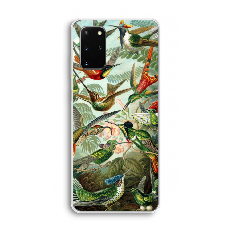 Haeckel Trochilidae: Samsung Galaxy S20 Plus Transparant Hoesje