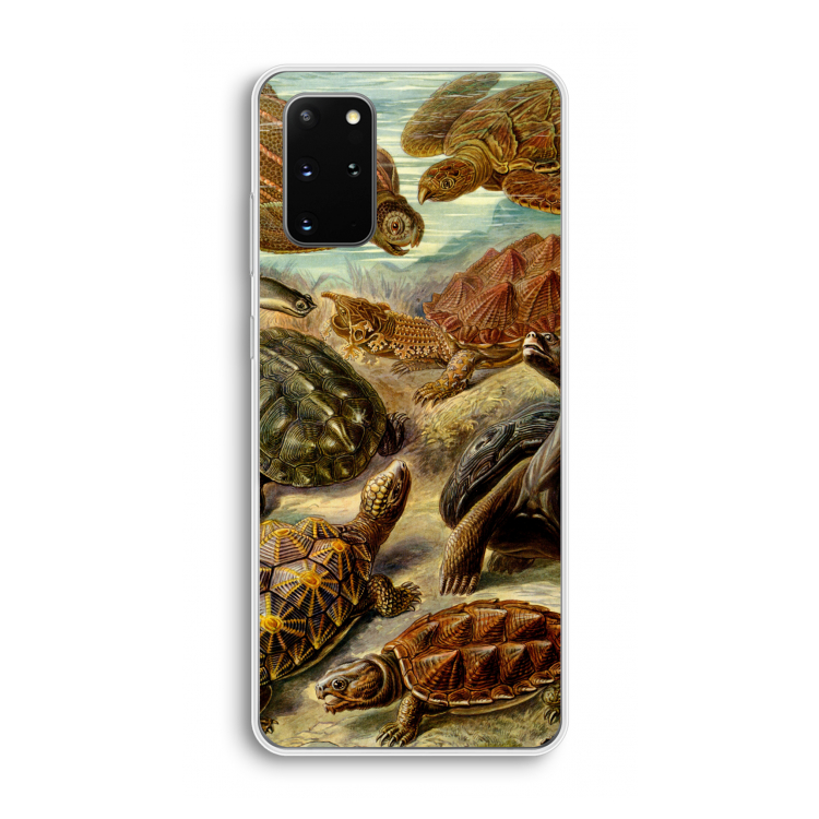 Haeckel Chelonia: Samsung Galaxy S20 Plus Transparant Hoesje