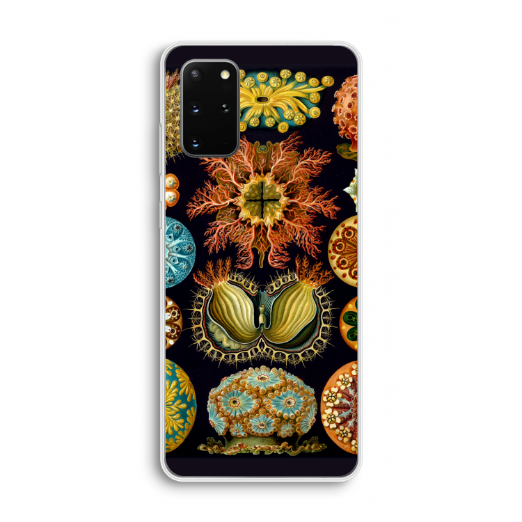 Haeckel Ascidiae: Samsung Galaxy S20 Plus Transparant Hoesje