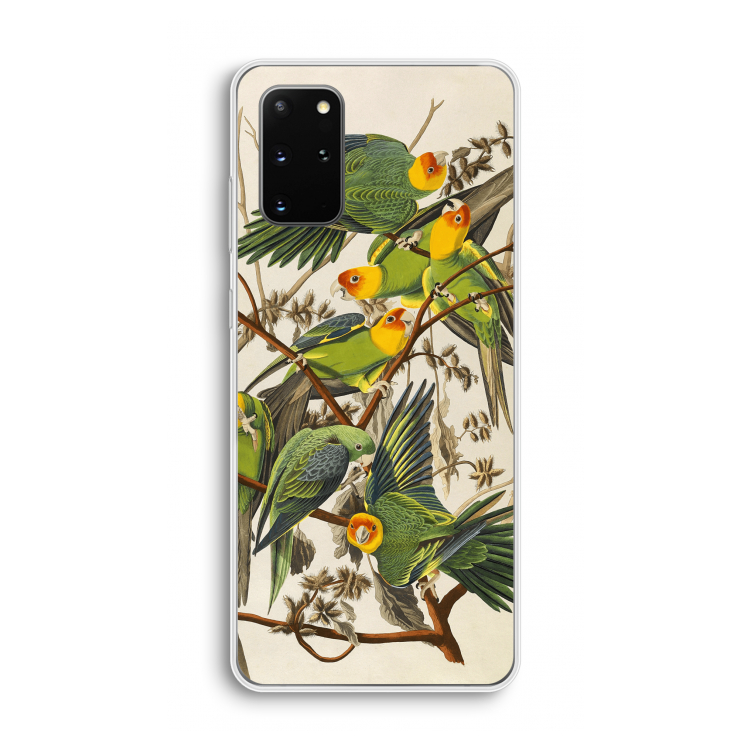 Carolinaparkiet: Samsung Galaxy S20 Plus Transparant Hoesje