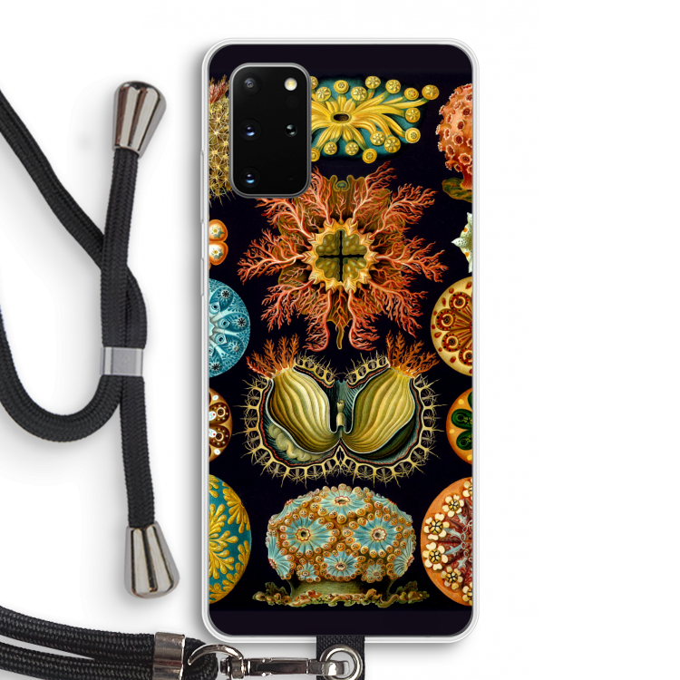 Haeckel Ascidiae: Samsung Galaxy S20 Plus Transparant Hoesje met koord