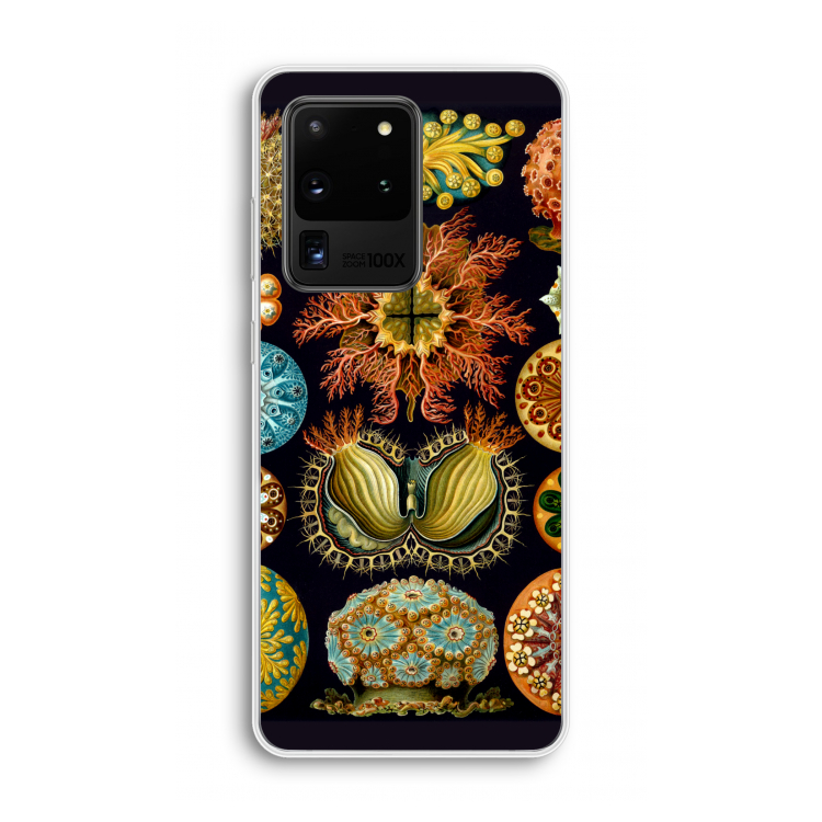 Haeckel Ascidiae: Samsung Galaxy S20 Ultra Transparant Hoesje