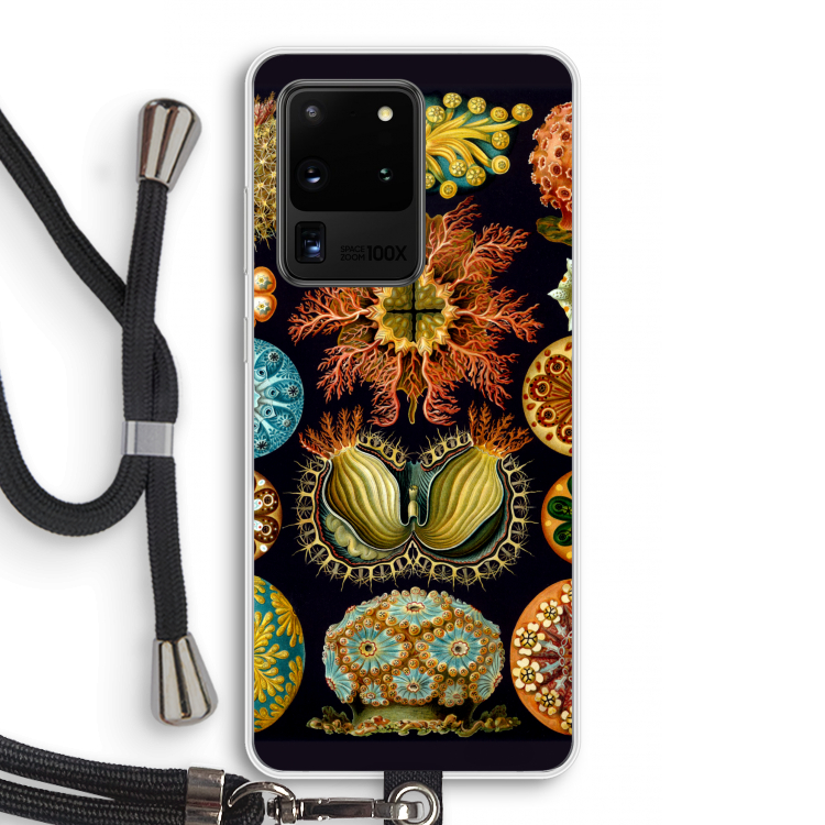 Haeckel Ascidiae: Samsung Galaxy S20 Ultra Transparant Hoesje met koord