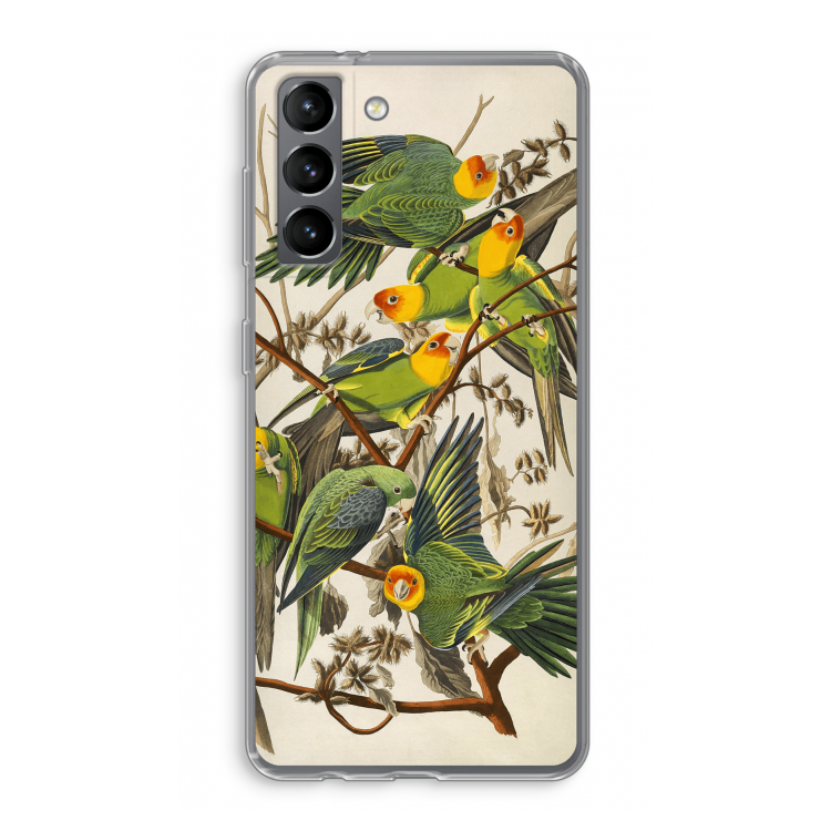 Carolinaparkiet: Samsung Galaxy S21 Transparant Hoesje