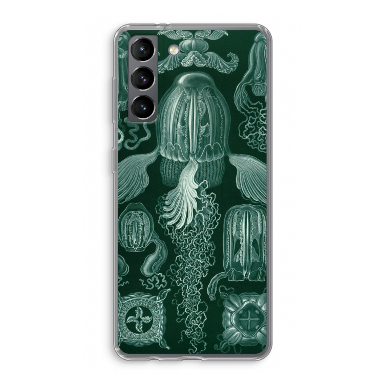 Haeckel Cubomedusae: Samsung Galaxy S21 Transparant Hoesje