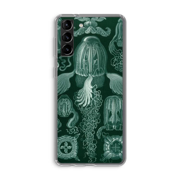 Haeckel Cubomedusae: Samsung Galaxy S21 Plus Transparant Hoesje