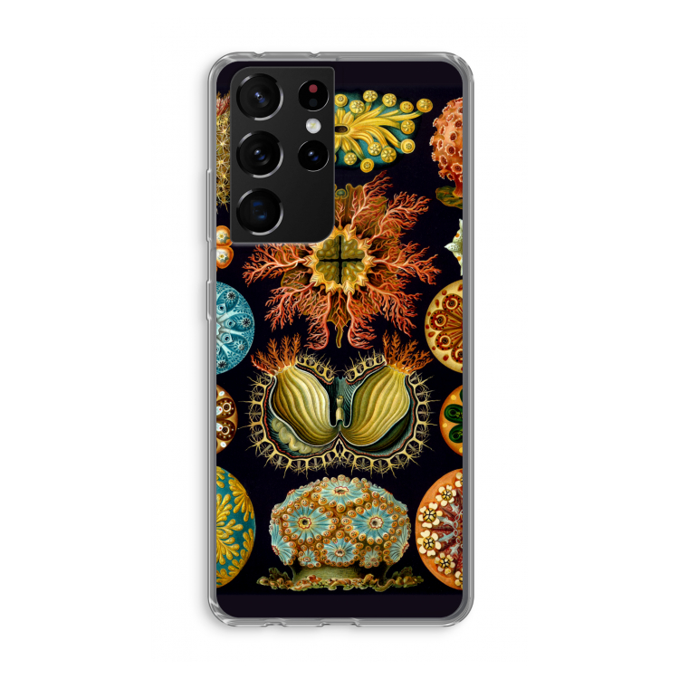 Haeckel Ascidiae: Samsung Galaxy S21 Ultra Transparant Hoesje