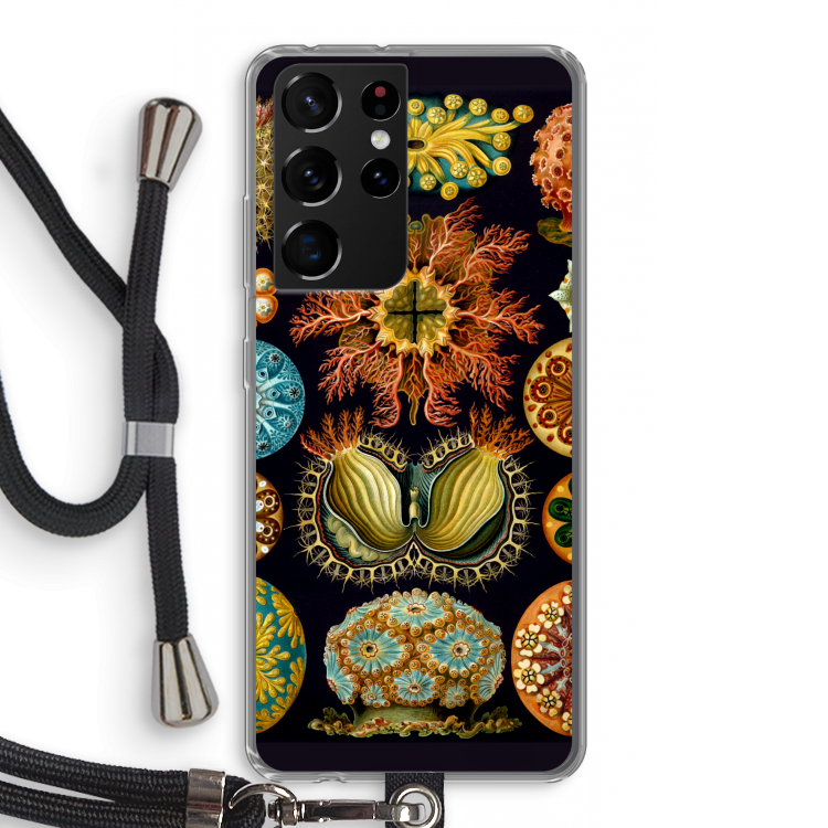 Haeckel Ascidiae: Samsung Galaxy S21 Ultra Transparant Hoesje met koord
