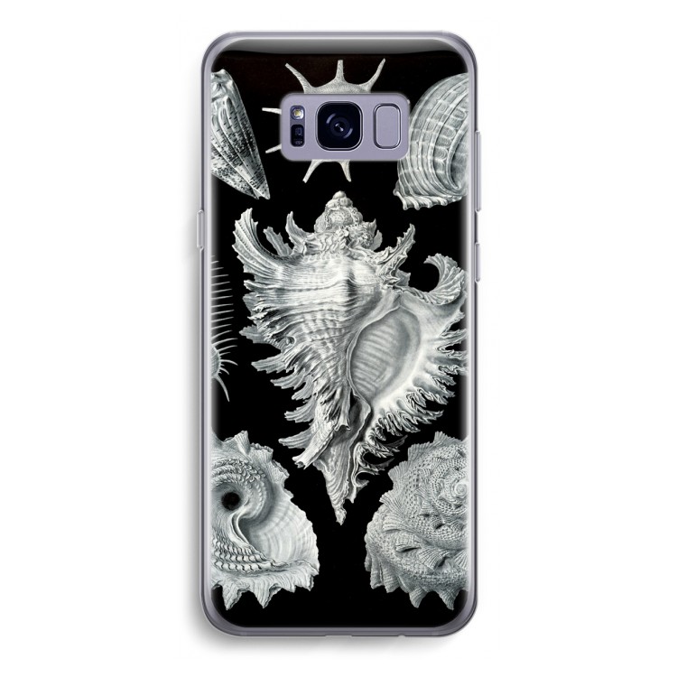 Haeckel Prosobranchia: Samsung Galaxy S8 Transparant Hoesje