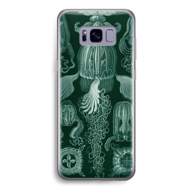 Haeckel Cubomedusae: Samsung Galaxy S8 Transparant Hoesje