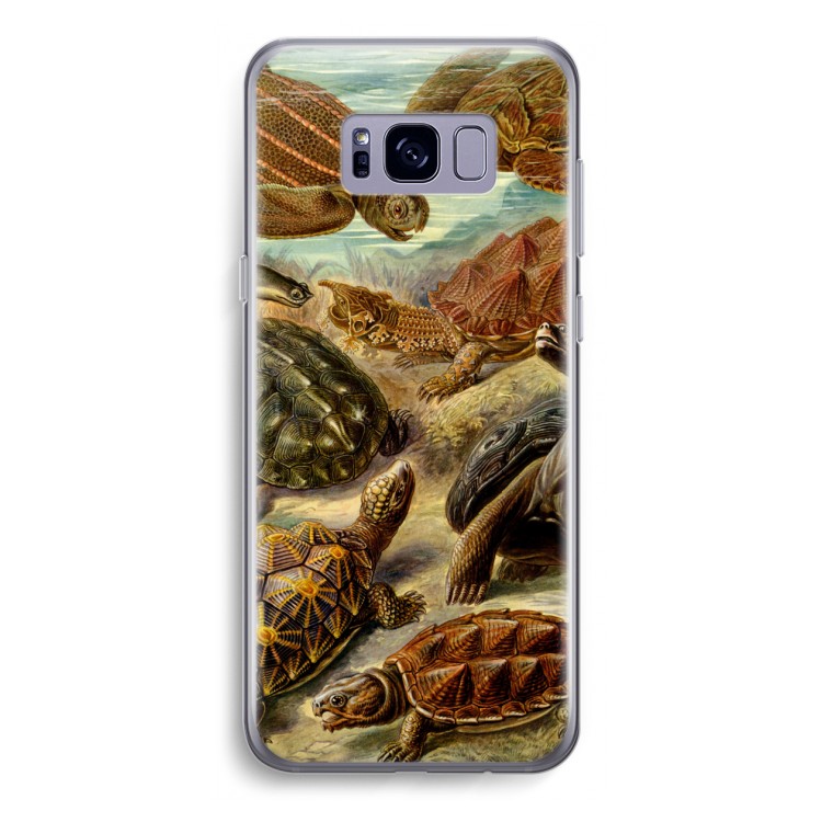 Haeckel Chelonia: Samsung Galaxy S8 Transparant Hoesje
