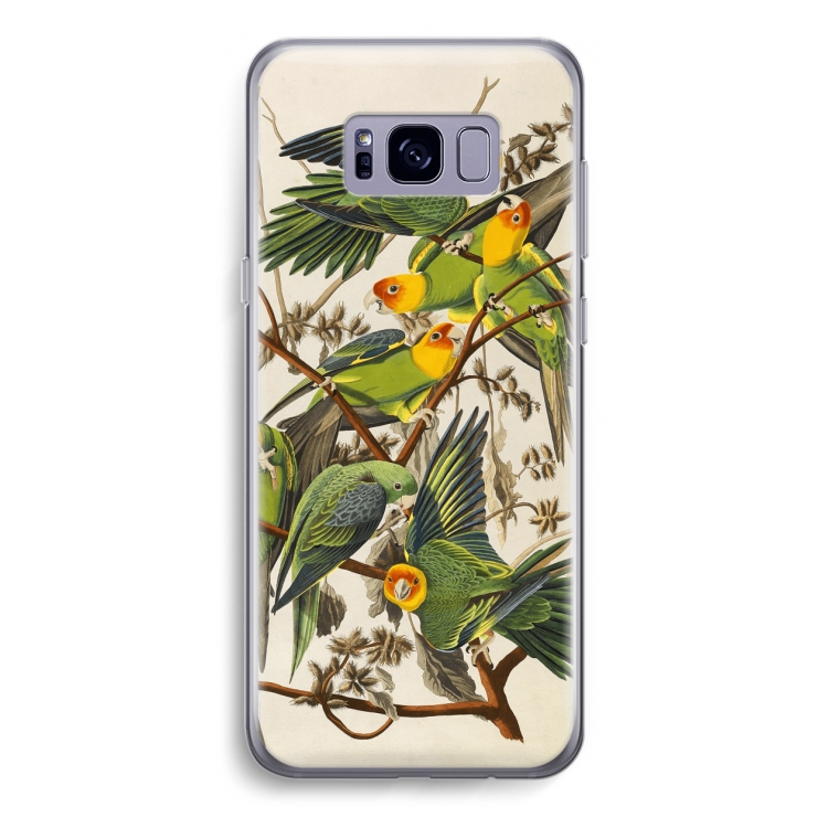 Carolinaparkiet: Samsung Galaxy S8 Transparant Hoesje