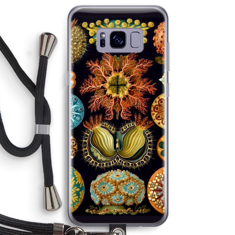 Haeckel Ascidiae: Samsung Galaxy S8 Transparant Hoesje met koord