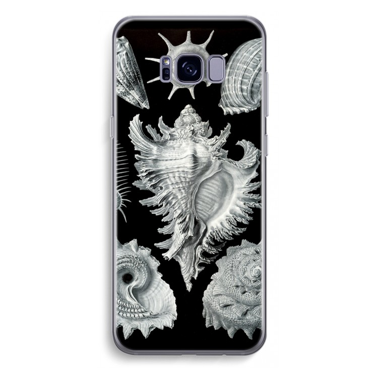 Haeckel Prosobranchia: Samsung Galaxy S8 Plus Transparant Hoesje