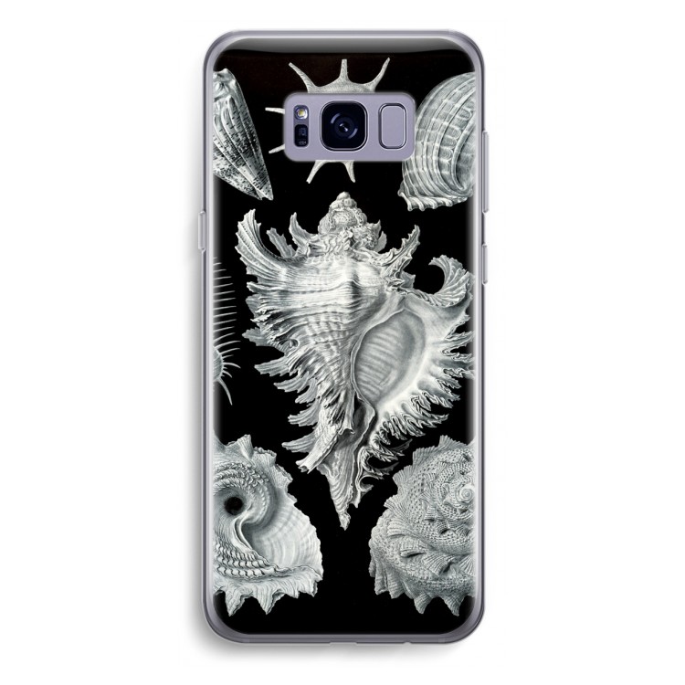 Haeckel Prosobranchia: Samsung Galaxy S8 Plus Transparant Hoesje