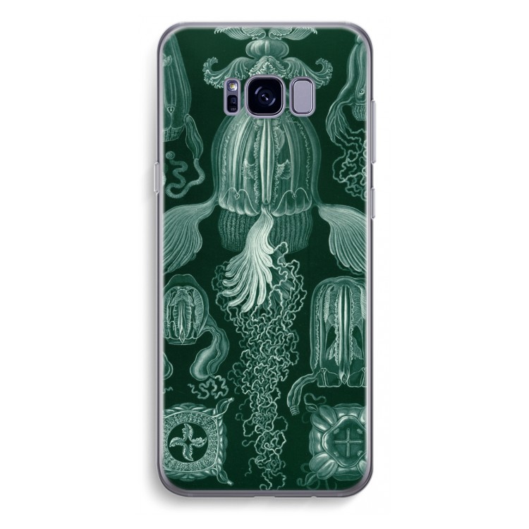 Haeckel Cubomedusae: Samsung Galaxy S8 Plus Transparant Hoesje