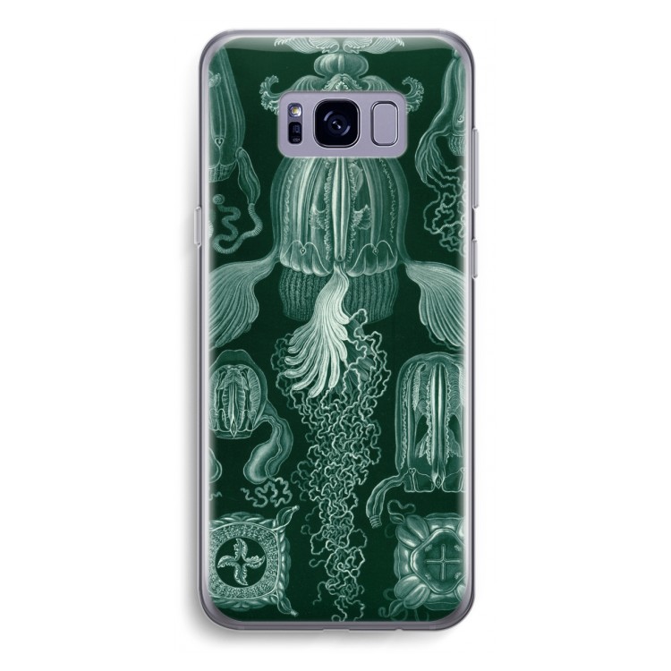Haeckel Cubomedusae: Samsung Galaxy S8 Plus Transparant Hoesje