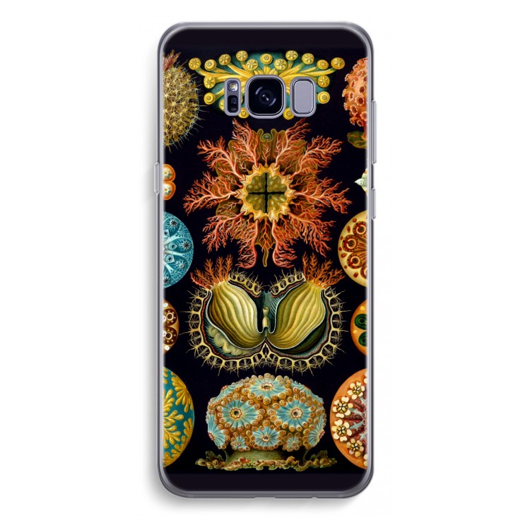 Haeckel Ascidiae: Samsung Galaxy S8 Plus Transparant Hoesje