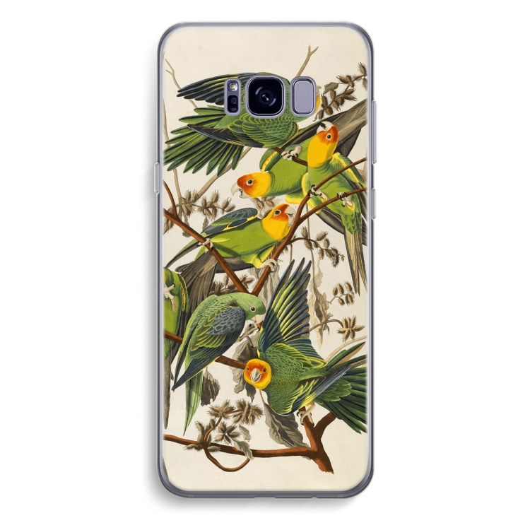 Carolinaparkiet: Samsung Galaxy S8 Plus Transparant Hoesje