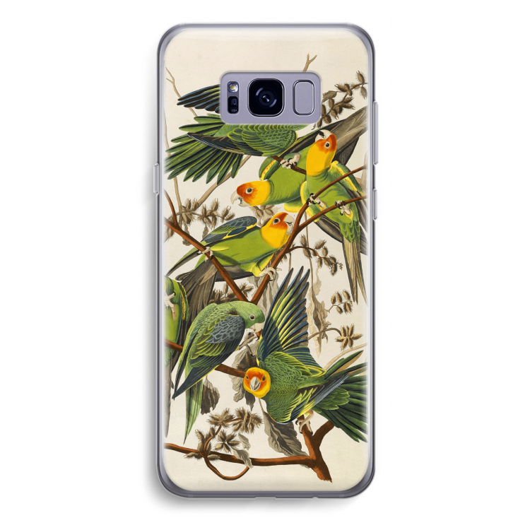 Carolinaparkiet: Samsung Galaxy S8 Plus Transparant Hoesje