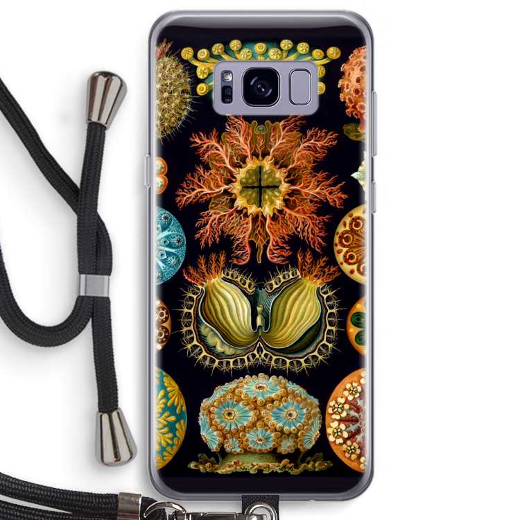 Haeckel Ascidiae: Samsung Galaxy S8 Plus Transparant Hoesje met koord