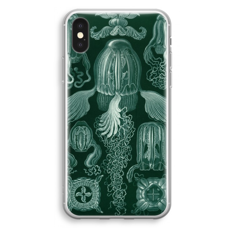 Haeckel Cubomedusae: iPhone X Transparant Hoesje