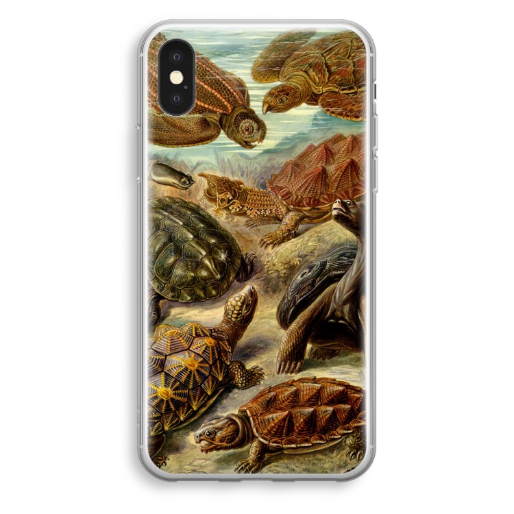 Haeckel Chelonia: iPhone X Transparant Hoesje