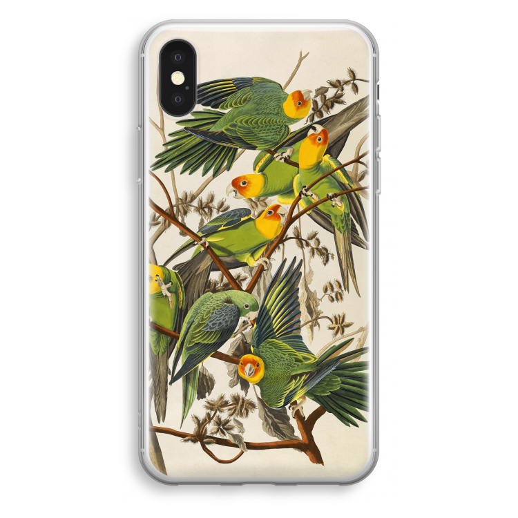 Carolinaparkiet: iPhone X Transparant Hoesje