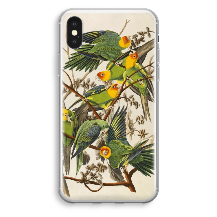 Carolinaparkiet: iPhone XS Transparant Hoesje