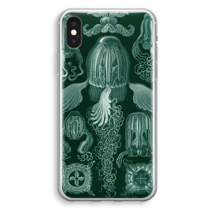 Haeckel Cubomedusae: iPhone XS Transparant Hoesje