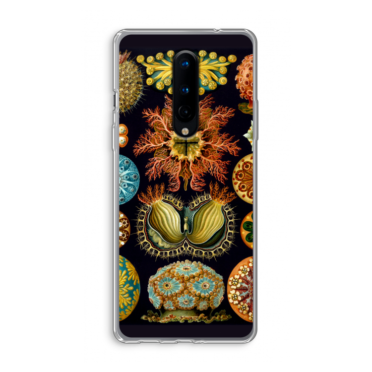 Haeckel Ascidiae: OnePlus 8 Transparant Hoesje