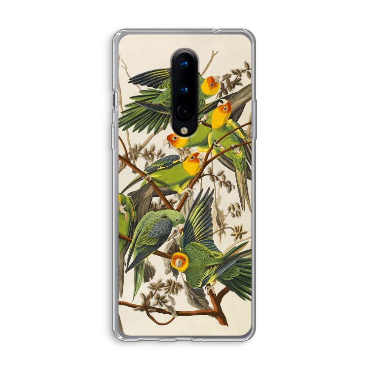 Carolinaparkiet: OnePlus 8 Transparant Hoesje