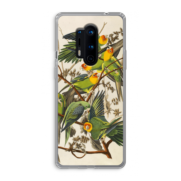 Carolinaparkiet: OnePlus 8 Pro Transparant Hoesje
