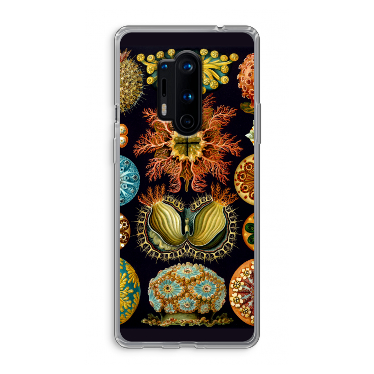 Haeckel Ascidiae: OnePlus 8 Pro Transparant Hoesje