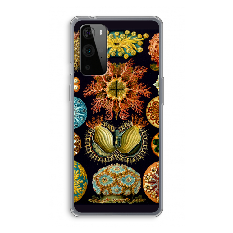 Haeckel Ascidiae: OnePlus 9 Pro Transparant Hoesje