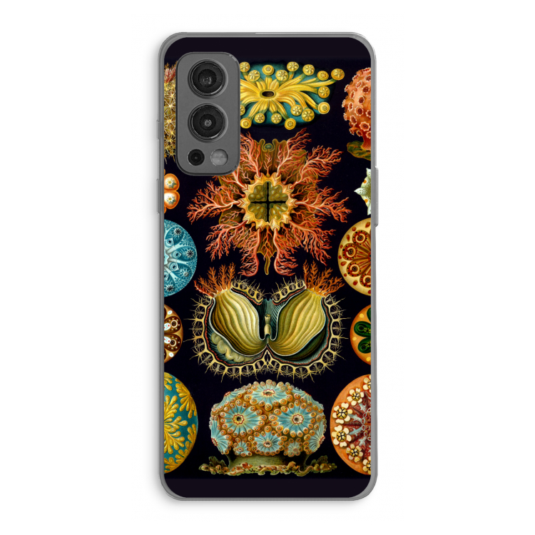 Haeckel Ascidiae: OnePlus Nord 2 5G Transparant Hoesje