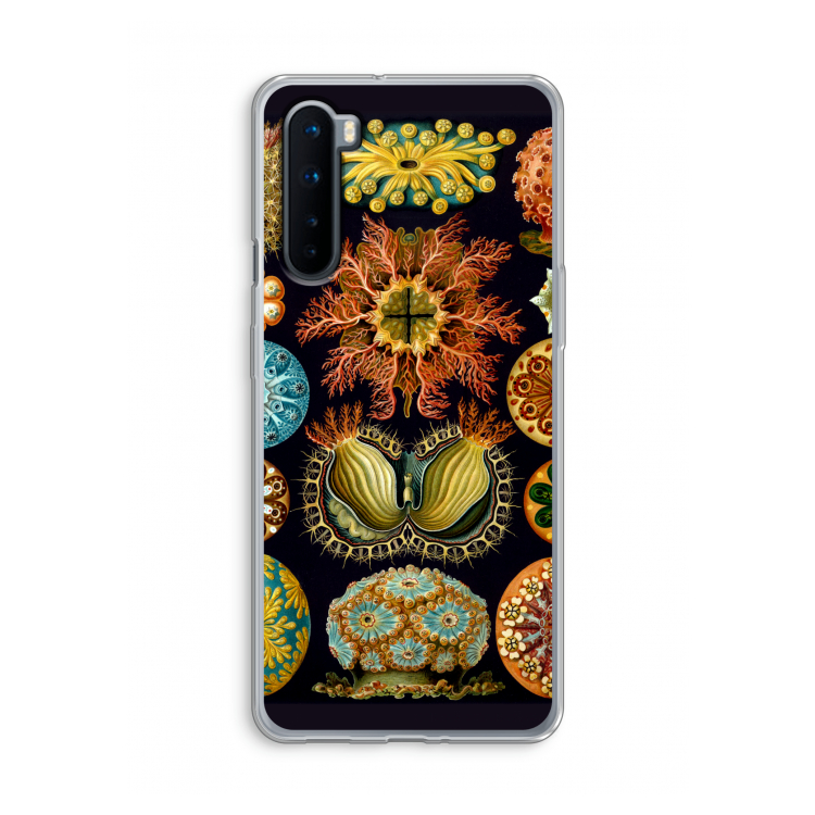 Haeckel Ascidiae: OnePlus Nord Transparant Hoesje