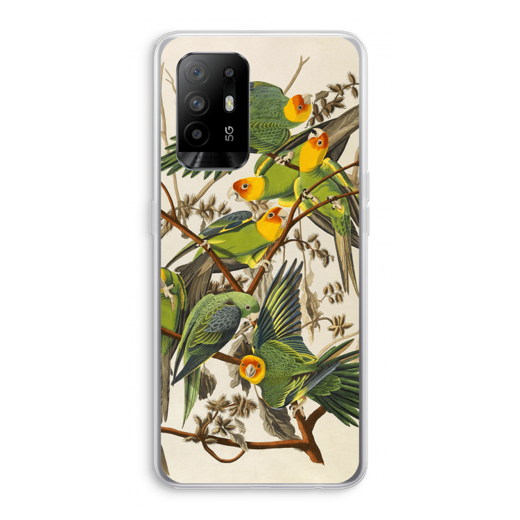 Carolinaparkiet: Oppo A95 5G Transparant Hoesje