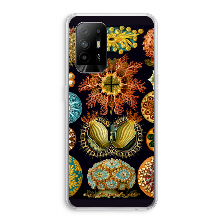 Haeckel Ascidiae: Oppo A95 5G Transparant Hoesje