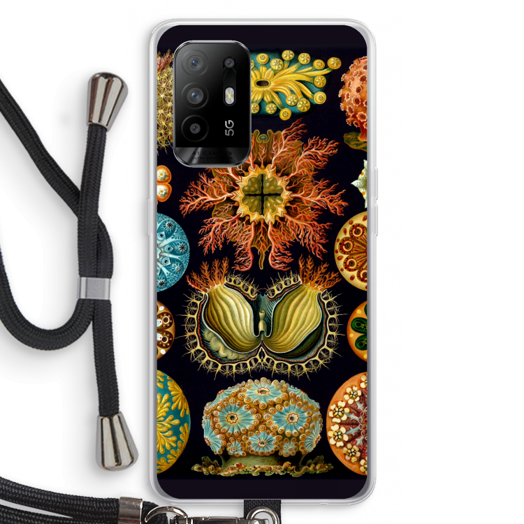 Haeckel Ascidiae: Oppo A95 5G Transparant Hoesje met koord