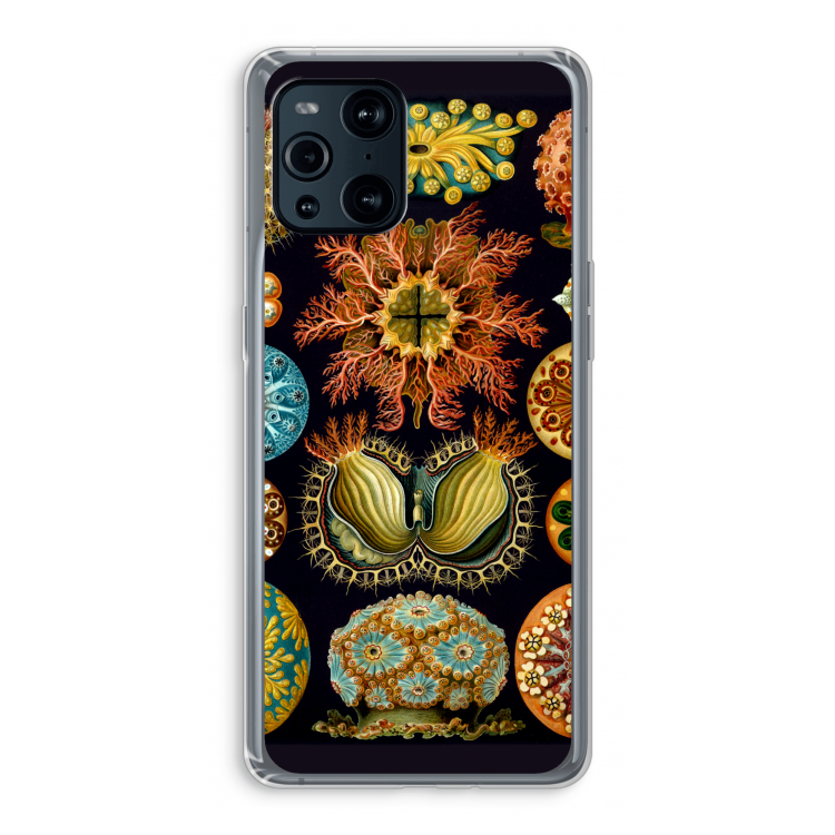 Haeckel Ascidiae: Oppo Find X3 Pro Transparant Hoesje