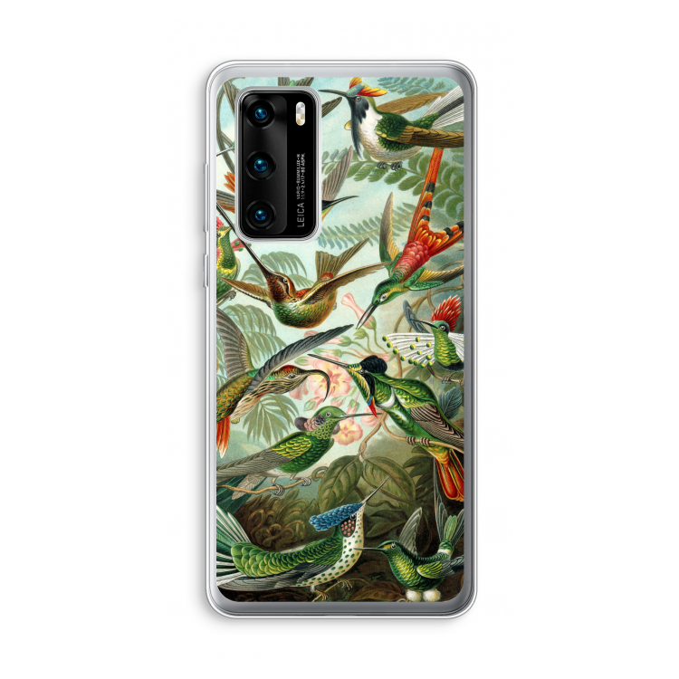Haeckel Trochilidae: Huawei P40 Transparant Hoesje
